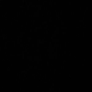 Meet your Posher, Jaedyn